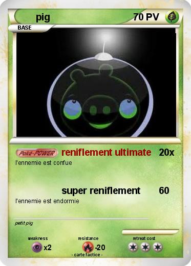 Pokemon pig