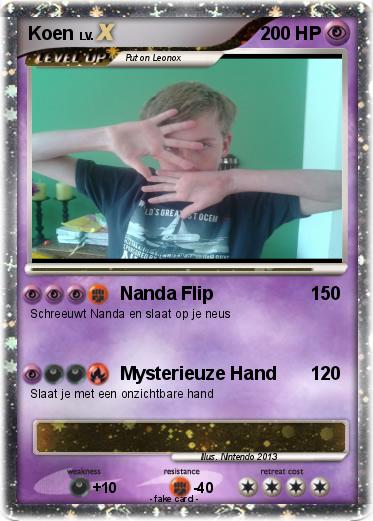 Pokemon Koen