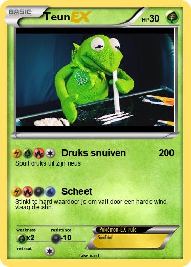 Pokemon Teun