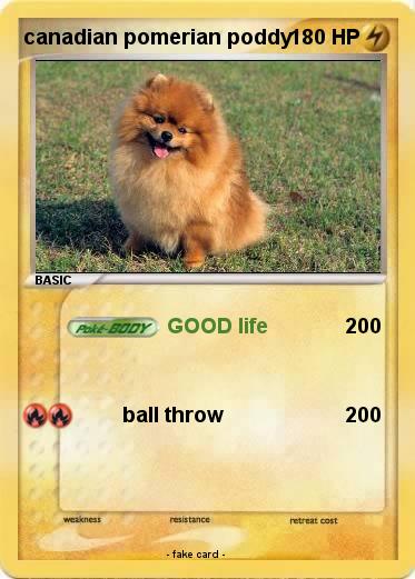 Pokemon canadian pomerian poddy
