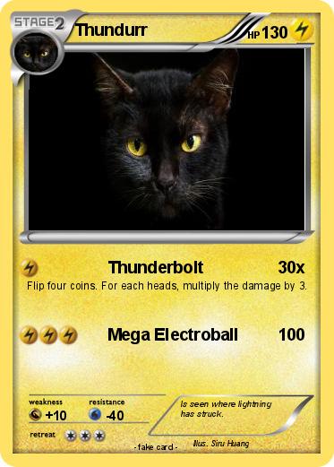 Pokemon Thundurr