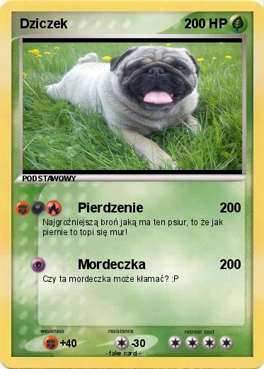 Pokemon Dziczek