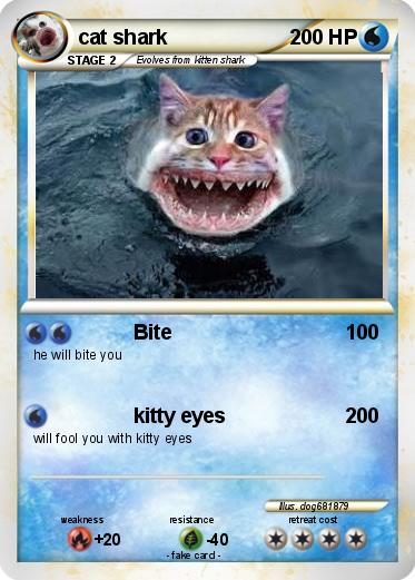 Pokemon cat shark