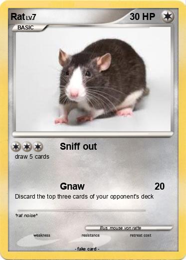 Pokemon Rat