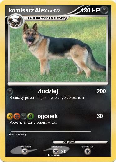 Pokemon komisarz Alex