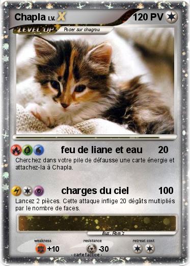 Pokemon Chapla