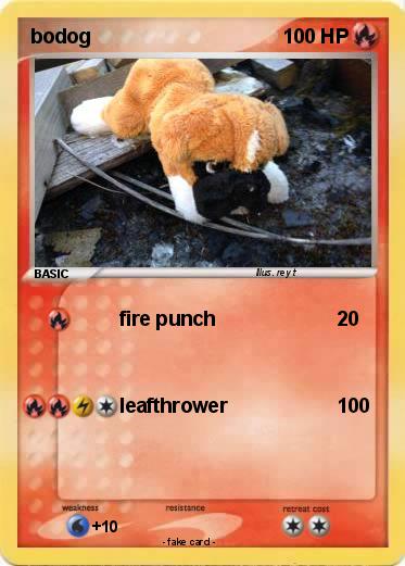 Pokemon bodog