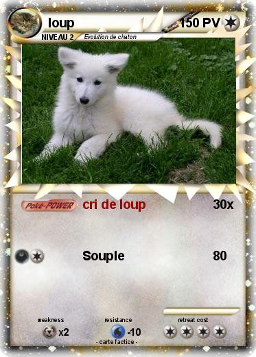 Pokemon loup