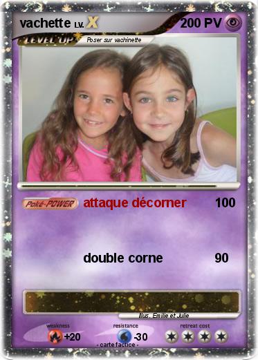 Pokemon vachette