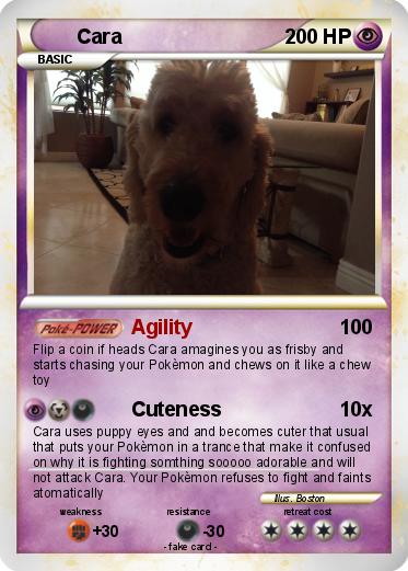 Pokemon Cara