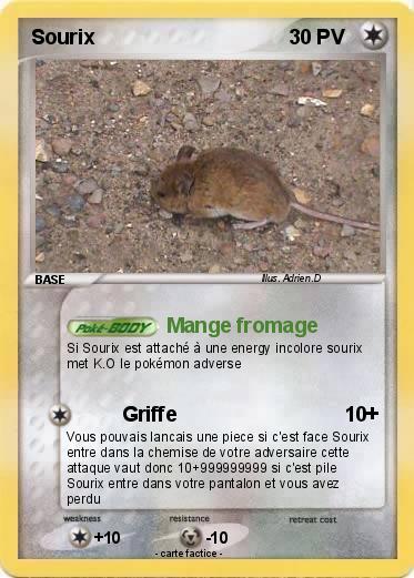 Pokemon Sourix