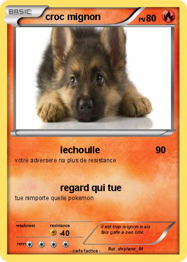 Pokemon croc mignon