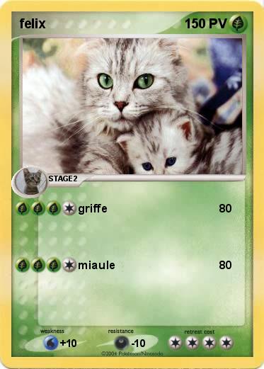 Pokemon felix