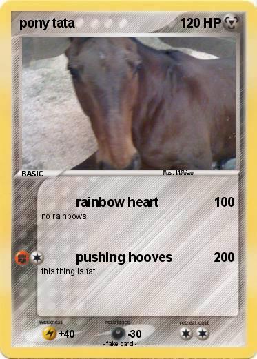 Pokemon pony tata