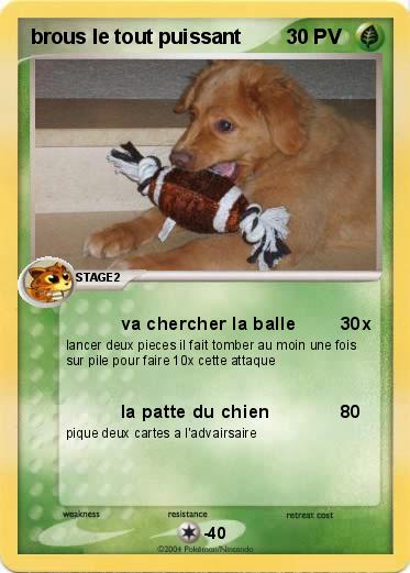 Pokemon brous le tout puissant