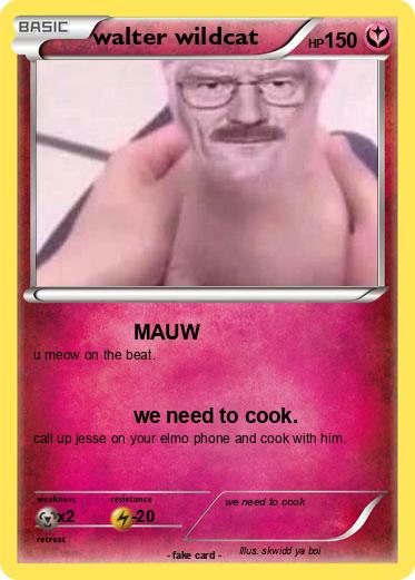 Pokemon walter wildcat