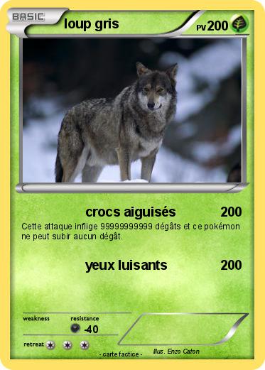Pokemon loup gris