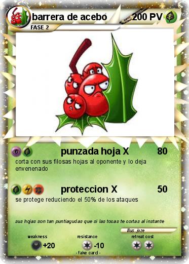 Pokemon barrera de acebo