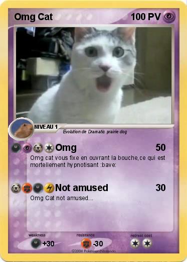 Pokemon Omg Cat