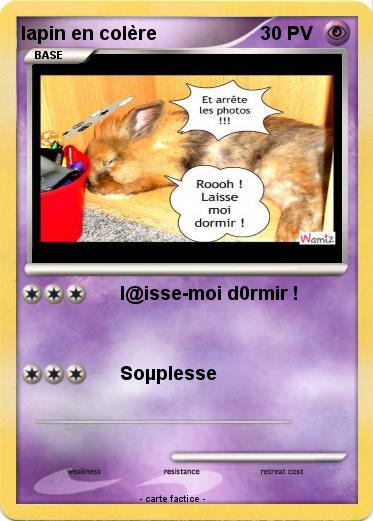 Pokemon lapin en colère