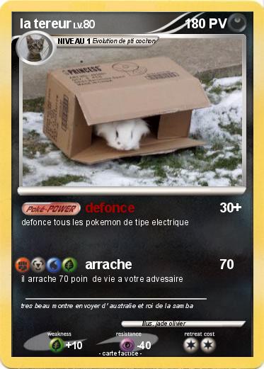 Pokemon la tereur