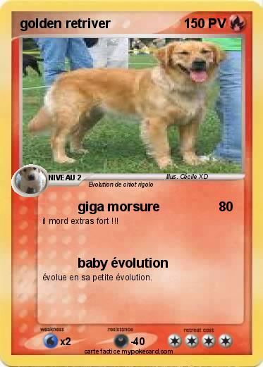 Pokemon golden retriver