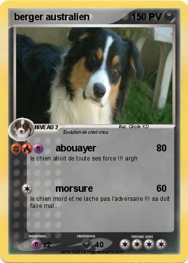 Pokemon berger australien