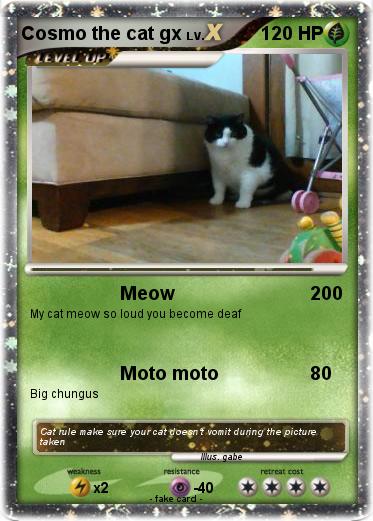 Pokemon Cosmo the cat gx