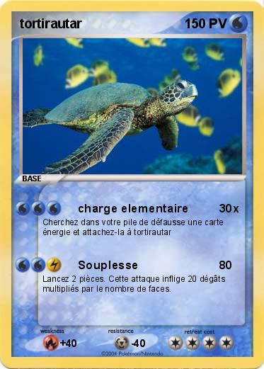 Pokemon tortirautar