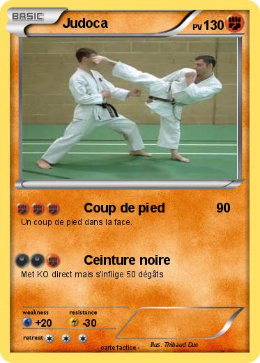 Pokemon Judoca