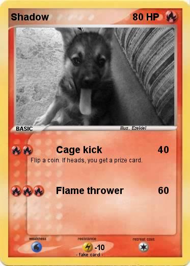 Pokemon Shadow