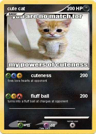 Pokemon cute cat