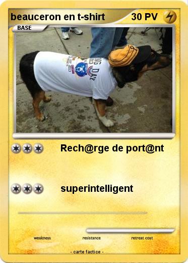 Pokemon beauceron en t-shirt