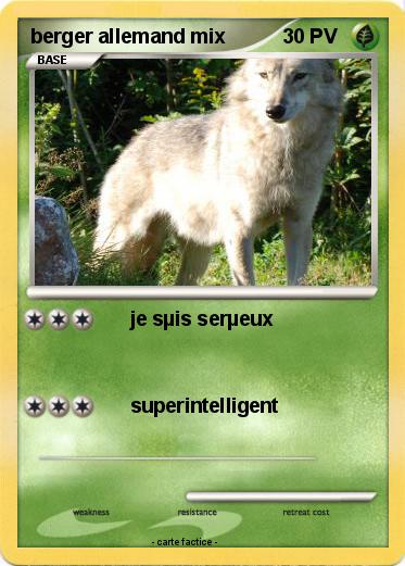 Pokemon berger allemand mix