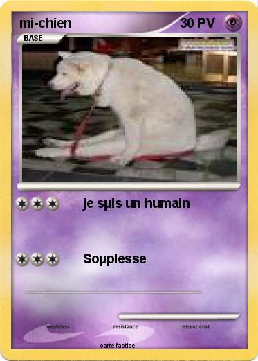 Pokemon mi-chien