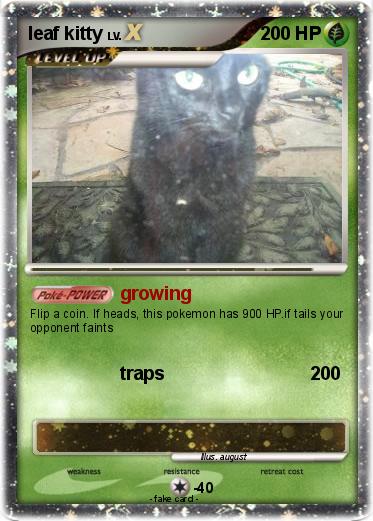 Pokemon leaf kitty