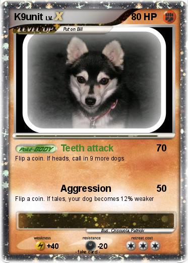 Pokemon K9unit