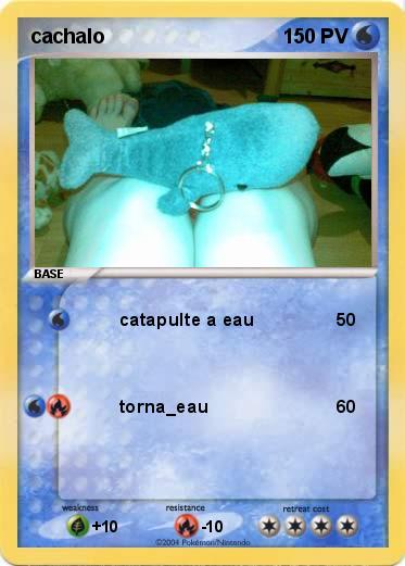 Pokemon cachalo