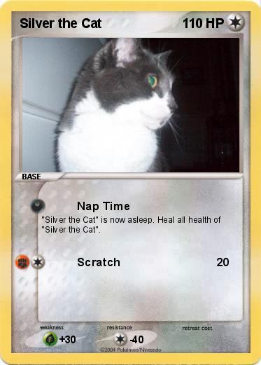 Pokemon Silver the Cat
