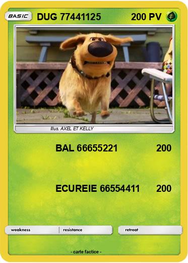 Pokemon DUG 77441125