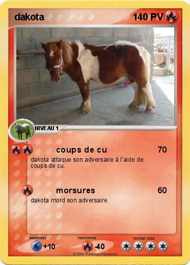 Pokemon dakota  