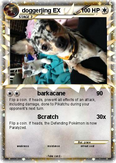 Pokemon doggerjing EX
