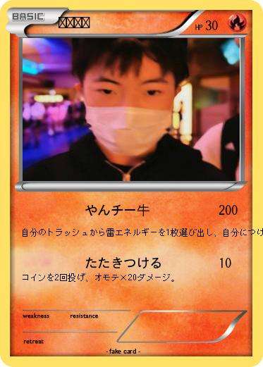 Pokemon やんちー