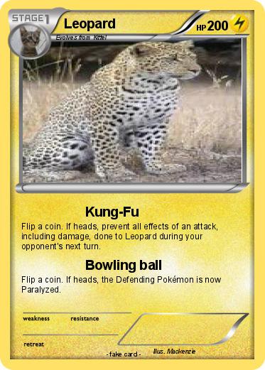 Pokemon Leopard