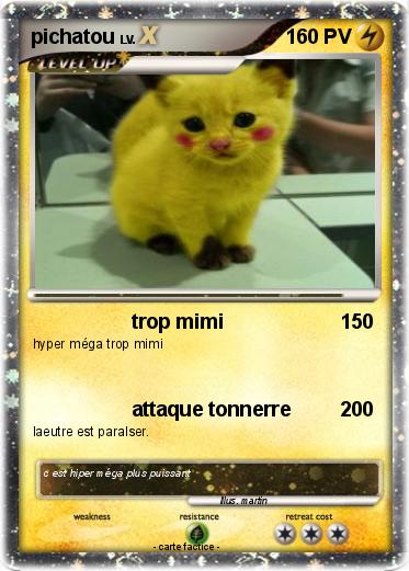 Pokemon pichatou