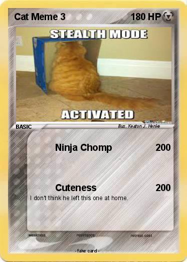 Pokemon Cat Meme 3