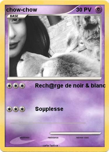 Pokemon chow-chow