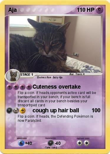 Pokemon Aja