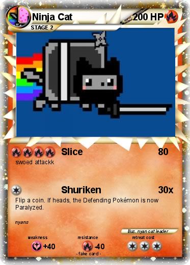 Pokemon Ninja Cat
