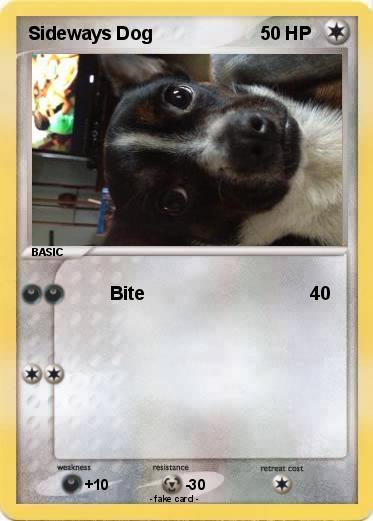 Pokemon Sideways Dog